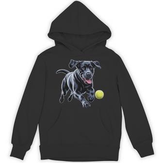 Black Labrador Retriever Chasing A Ball Puppy Lab Owner Hoodie | Seseable UK