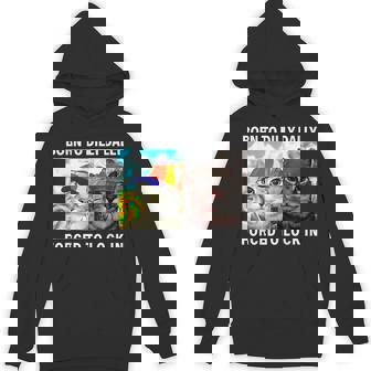 Born To Dilly Dally Forced To Lock In Cat Meme Hoodie - Monsterry