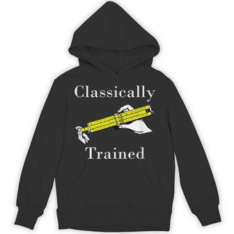 Classically Trained Slide Rule Retro Math Engineer Hoodie - Thegiftio UK