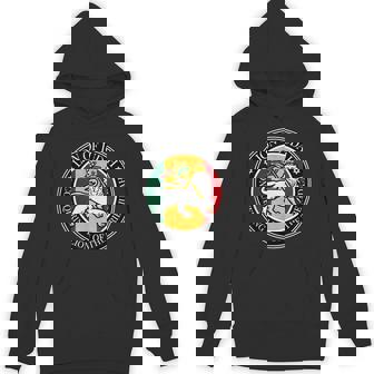 Conquering Lion Of The Tribe Judah Yahweh Rastafarian Hoodie - Thegiftio