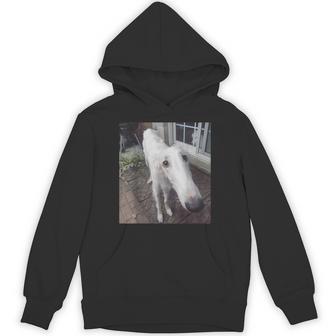 Borzoi Long Nose Dog Meme Hoodie - Thegiftio UK
