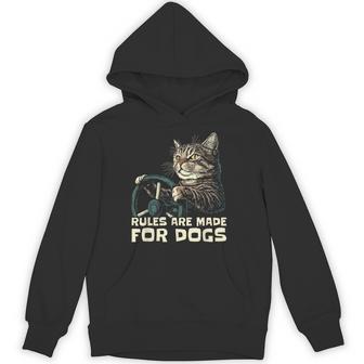 Cat Lover Rules Are Made For Dogs Driving Cat Hoodie - Monsterry