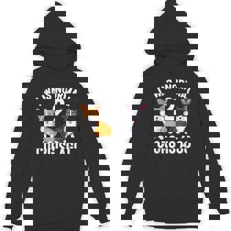 Corgi Dog Lover I Was Normal 2 Corgis Ago Hoodie | Mazezy