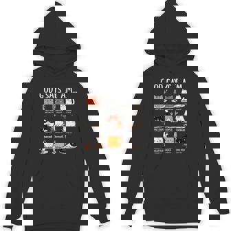 God Says I Am Special Chosen Unique Loved Hoodie - Monsterry