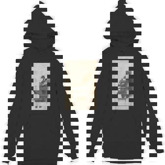 The Goldfinch By Carel Fabritius Bird Painting Fine Art Unisex Hoodie | Mazezy