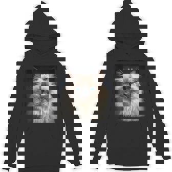 Himalayan Cats Himalayan Cat Hoodie - Thegiftio