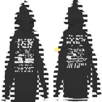 I'm Sexy And I Tow It Caravan Camping Trailer Camper Hoodie | Mazezy