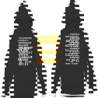 INSTRUMENTAL MUSICIAN Humor Unisex Hoodie | Mazezy