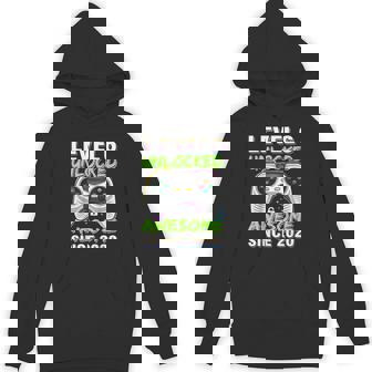 Level 6 Unlocked Awesome Since 2020 6Th Birthday Gaming Boys Hoodie - Monsterry