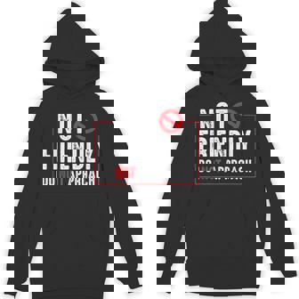 Not Friendly Do Not Approach Witty Introvert Hoodie - Monsterry