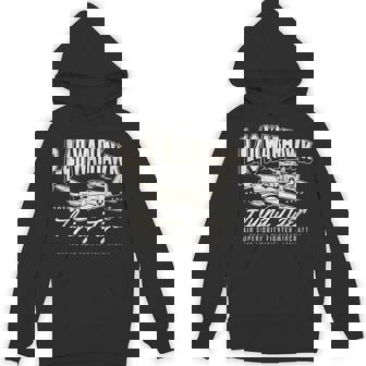 P-40 Warhawk Legendary Flying Tiger's Fighter Plane Warbirds Hoodie - Thegiftio