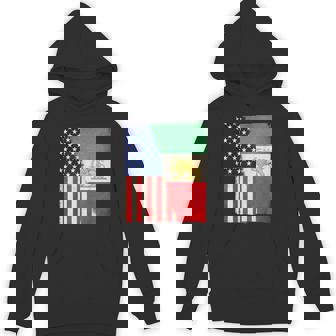Persian American Flag Usa Persia Roots Heritage Hoodie - Thegiftio