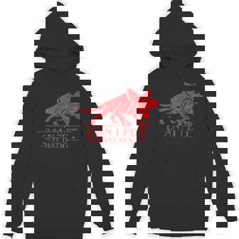 Can I Pet That Dog Demo Dog Stranger Meme Dog Lover Te Hoodie | Seseable UK