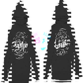 Pink Or Blue Grandpa Loves You Gender Reveal Family Hoodie | Seseable CA