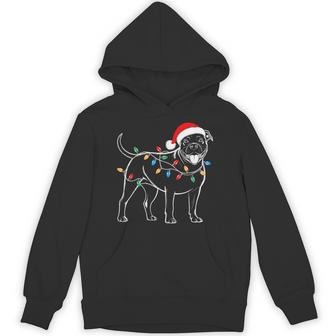 Pitbull Dog Christmas Tree Lights Xmas Pet Animal Dog Lover Hoodie | Seseable CA