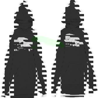 Sekiguchi Genetics – Nerdy Dna Science Joke For Lab Geeks Hoodie - Thegiftio