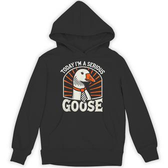 Today I'm A Serious Goose Goose Graphics Hoodie | Mazezy