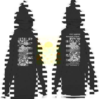 Vintage Protect And Preserve National Parks Sunset Floral Unisex Hoodie | Mazezy