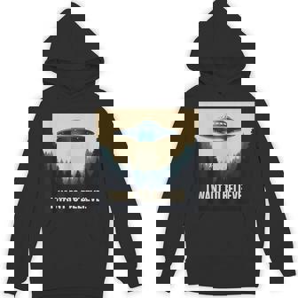 I Want To Believe ヴィンテージ Ufo エイリアン クラフト 夢の出会い パーカー - Kawaiitshirt