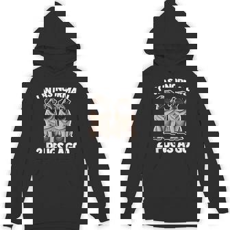 I Was Normal 2 Pugs Ago 面白い犬のパグオーナーパグ愛好家パグ パーカー - Kawaiitshirt