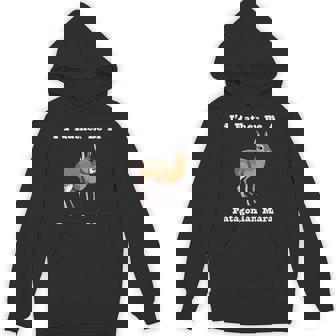 パタゴニア・マラ 長袖tシャツ パーカー - Kawaiitshirt