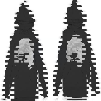 月と猫のシルエット ソマリ猫 パーカー - Kawaiitshirt