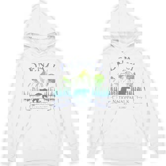 Denali National Park Alaska Vintage Bear Retro Trip Souvenir Hoodie - Monsterry