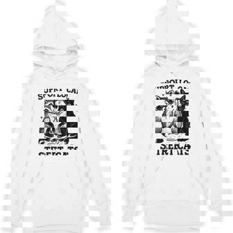 Racoon Opossum & Cat Support Local Street Cats Hoodie | Seseable CA