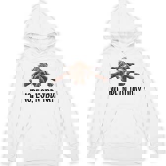 Nope Not Today Chocolate Lab Lazy Dog Quote Hoodie | Seseable FR