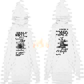 Pinnacles National Park California Adventure Unisex Hoodie | Mazezy