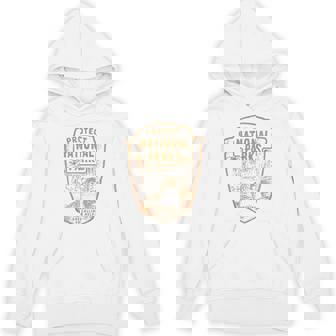 Protect National Parks Bear Resist Hoodie | Mazezy