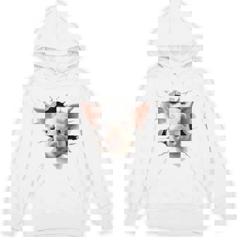 豚 アニマル柄 グラフィック 図面 イラスト 顔 豚 パーカー - Kawaiitshirt