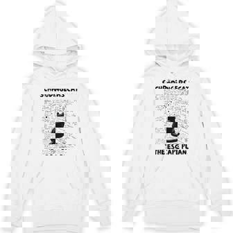 量子物理学教師シュレーディンガーの猫 脱出計画 パーカー - Kawaiitshirt