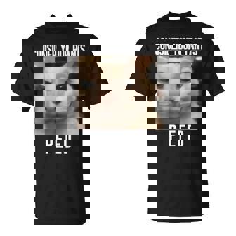 Consider Your Pants Peed Weird Cat Meme Memes Brainrot T-Shirt - Monsterry