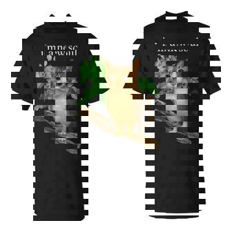 Divertente Meowl Meme Gufo Gatto Meme Brainrot Gen Alpha Maglietta - Novitaregali