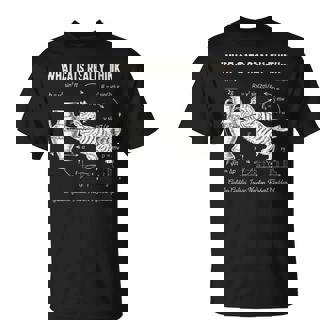 Drôle Chat Physique Cience Humour Nerdy Cat Dad Cadeaux T-Shirt - Cadeauxyz