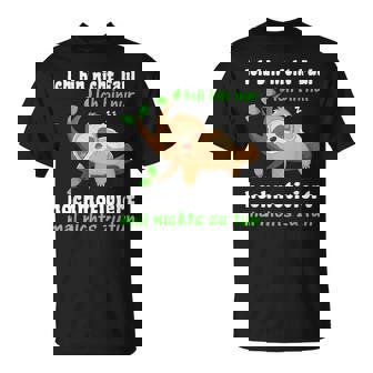 Faultierchlaf Damen Herren Kinder Lustiges Faultier T-Shirt - Seseable