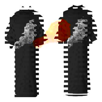 Fried Chicken Drumstick Food Halloween Costume Graphic T-Shirt | Mazezy