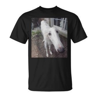 Borzoi Long Nose Dog Meme T-Shirt - Thegiftio UK