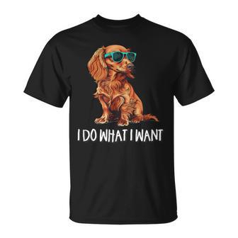 I Do What I Want Long Haired Dachshund Lover T-Shirt - Thegiftio UK