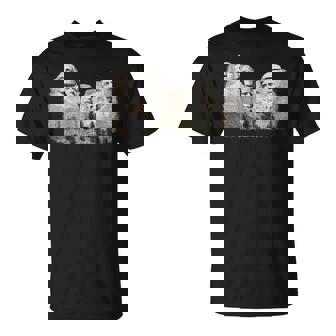 New Birth Of Freedom President Donald Trump On Mount Rushmore T-Shirt - Thegiftio