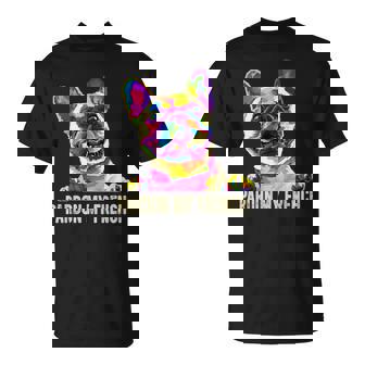 Pardon My French Pop Art Frenchie French Bulldog T-Shirt | Mazezy