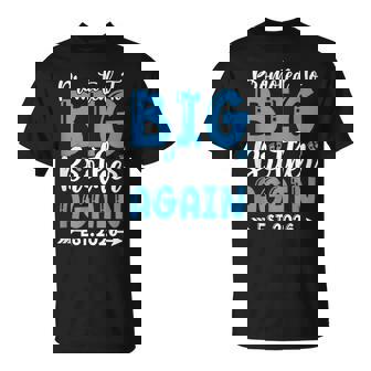 Promoted To Big Brother 2026 Again Pregnancy Announcement T-Shirt | Mazezy