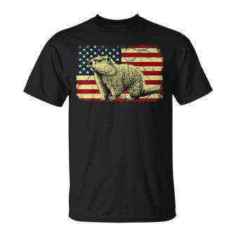 Punxsy Phil American Flag Groundhog Day For Women T-Shirt - Thegiftio