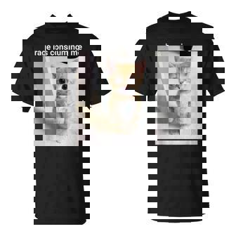 Rage Is Consuming Me Cat For Women T-Shirt - Monsterry