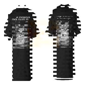 Rage Is Consuming Me Silly Meme Cat T-Shirt - Monsterry