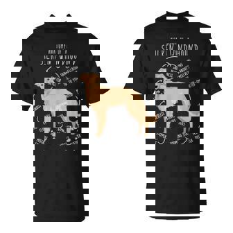 Silken Windhound Anatomy Cute Pet Lover Fawn Cream T-Shirt - Thegiftio