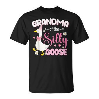 Silly Grandma Goose 1St Birthday Family Matching Party T-Shirt - Thegiftio
