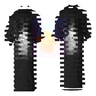 Wizard Cat Meme Vintage Halloween T-Shirt | Mazezy