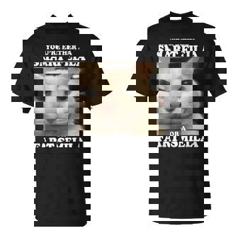 You're Either A Smart Fella Or A Fart Smella Cat Meme T-Shirt | Seseable FR